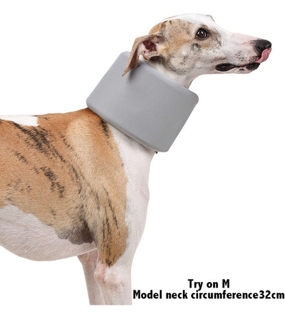 Pet Neck Brace