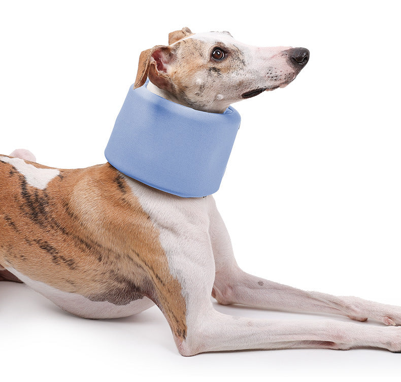 Pet Neck Brace