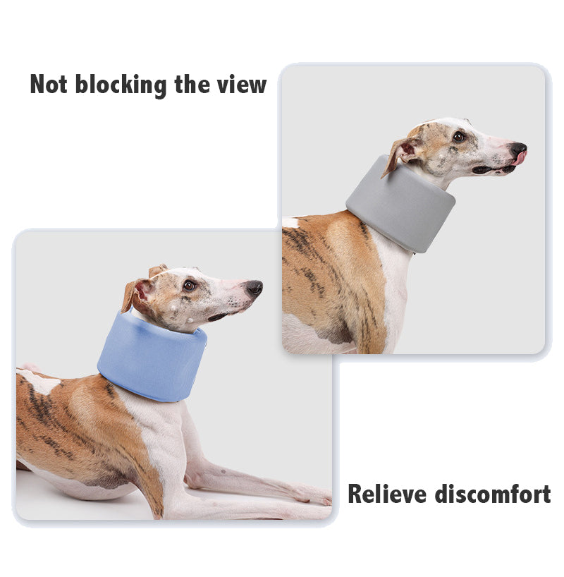 Pet Neck Brace