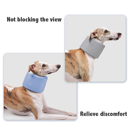 Pet Neck Brace
