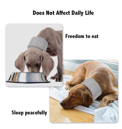 Pet Neck Brace